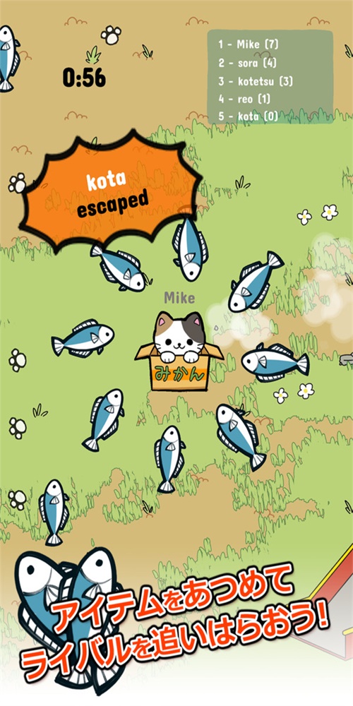公园里的野猫截图
