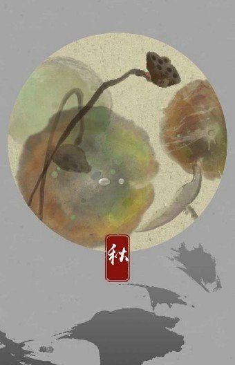 偏执的蝌蚪