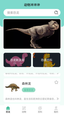 动物冲冲冲