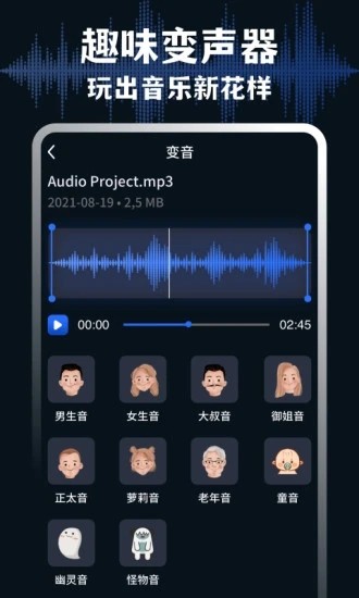 AudioLab专业版截图