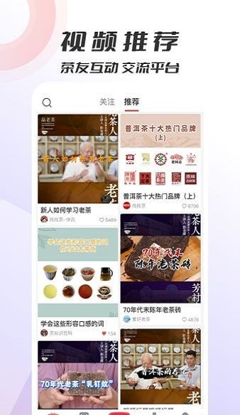 评茶