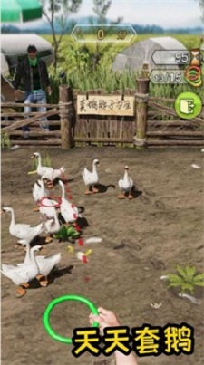 天天套圈