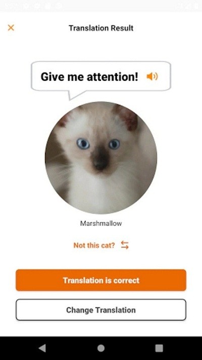 meowtalk喵说