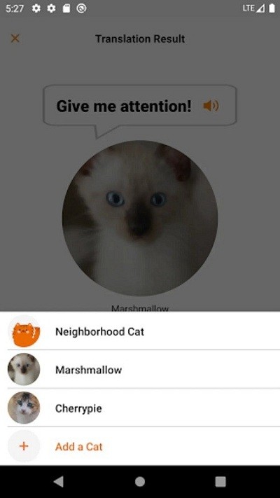 MEOWTALK猫语翻译器