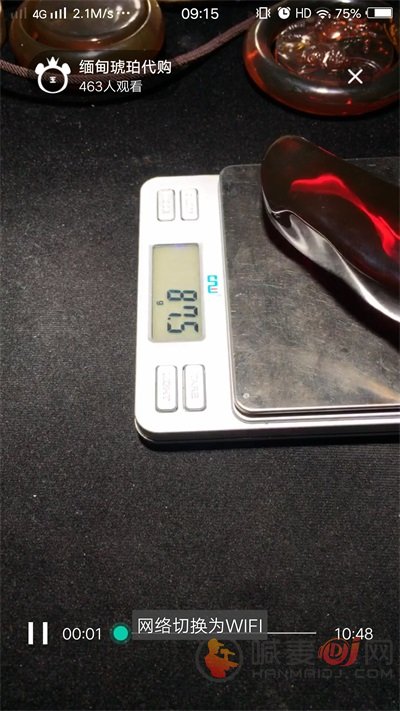 大熊翡翠