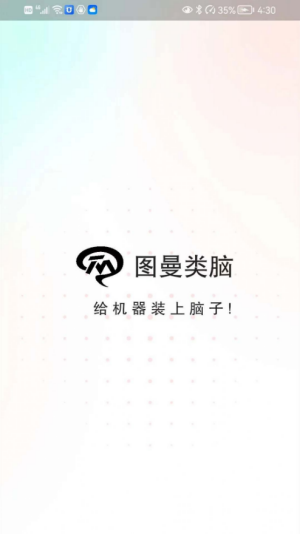 图曼类脑截图