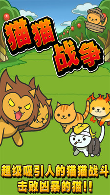 猫猫大战