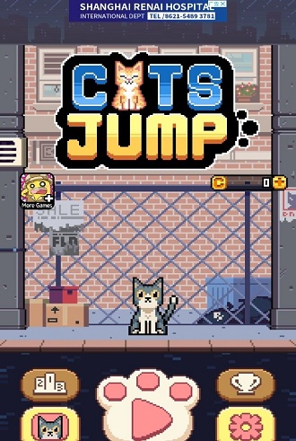 猫咪跳跃
