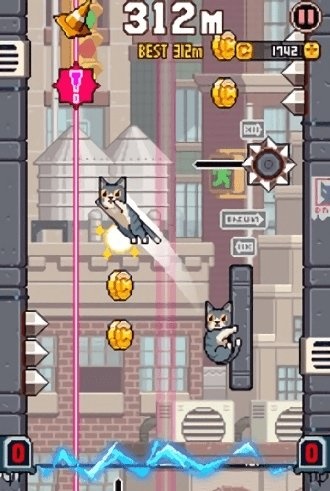 猫咪跳跃