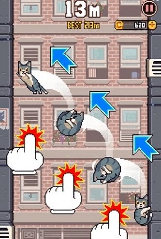 猫咪跳跃