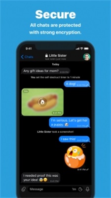 Telegram Messenger社交截图