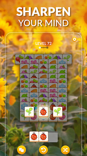 Zen Match