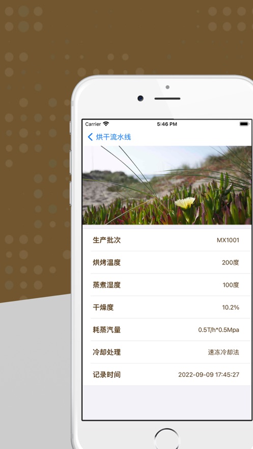 聚家