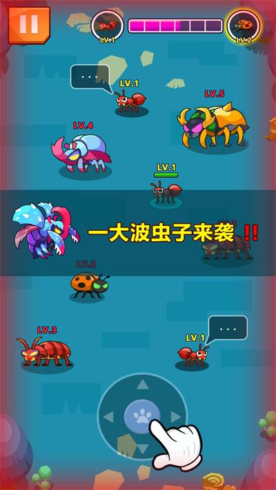 虫群王者