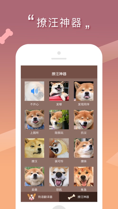 人狗交流器