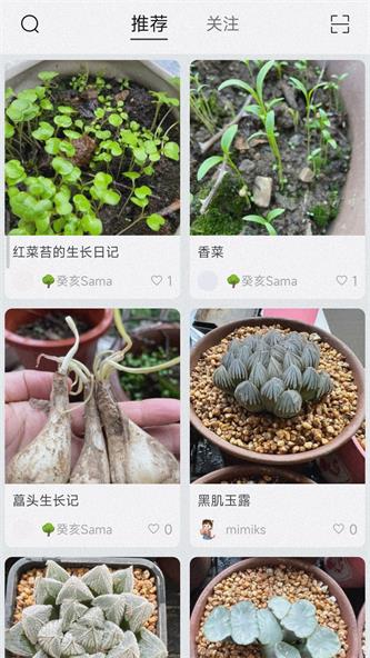 小植物截图