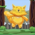 猫咪想上天
