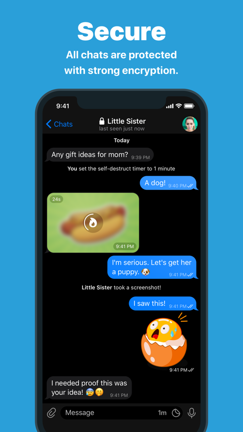 Telegram Messenger最新版截图