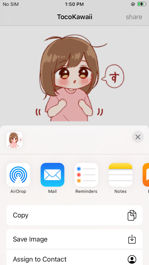 TocoKawai截图