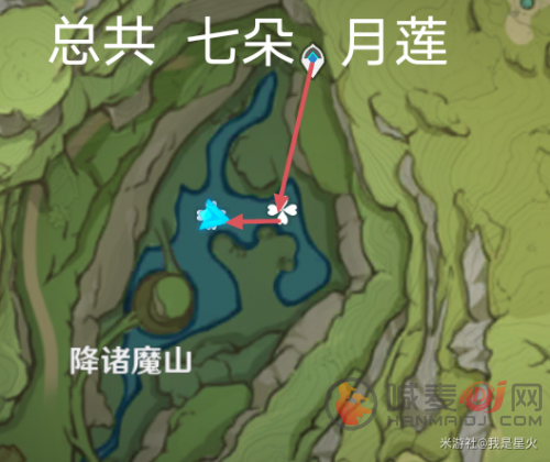 原神月莲位置分布大全 月莲采集路线图分享