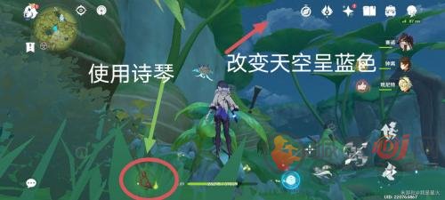原神月莲位置分布大全 月莲采集路线图分享