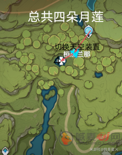 原神月莲位置分布大全 月莲采集路线图分享