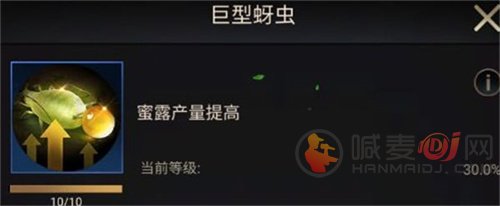 小小蚁国初期进化选择什么类型-选择类型推荐