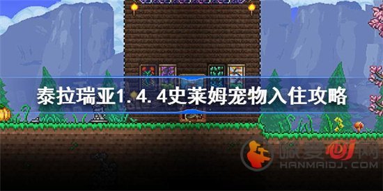 泰拉瑞亚1.4.4版本史莱姆宠物怎么入住城镇 全史莱姆宠物入住攻略分享