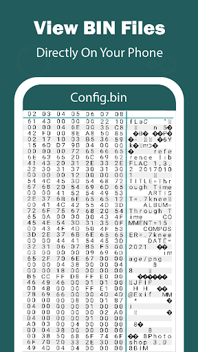 Bin文件阅读器