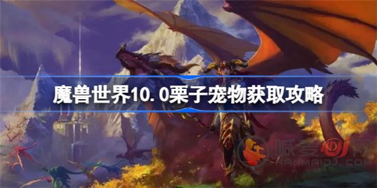 魔兽世界10.0栗子宠物如何获取 魔兽10.0栗子获得方法