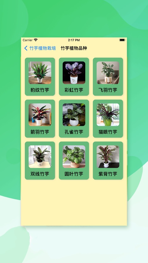 竹宝截图
