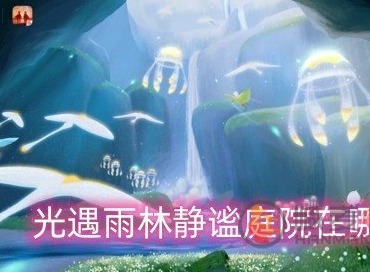 光遇雨林静谧庭院在哪 雨林静谧庭院密道具体位置