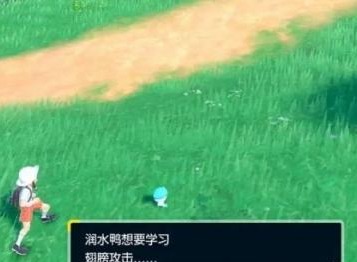 宝可梦朱紫中期练级地点怎么选 中期练级地点推荐