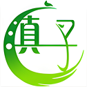 滇子