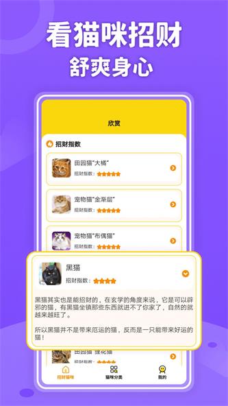 招财进猫截图