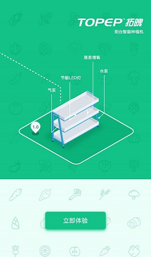 阳台农园