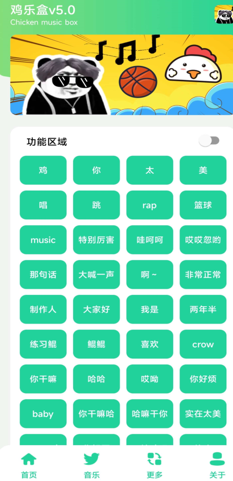 鸡音盒定制版