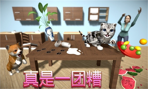 完美猫星人截图