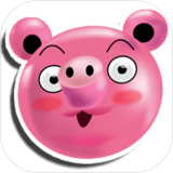 AngryPig