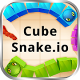 CubeSnakeIO