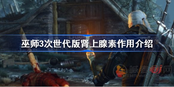 巫师3次世代版肾上腺素作用是什么 巫师3次世代版肾上腺素作用分享