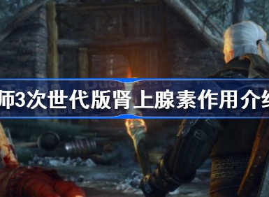 巫师3次世代版肾上腺素作用是什么 巫师3次世代版肾上腺素作用分享