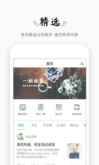 波奇四季截图