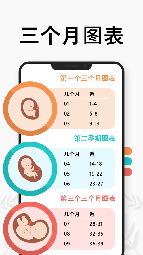 怀孕计算器逐周截图