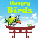 HungryBirds