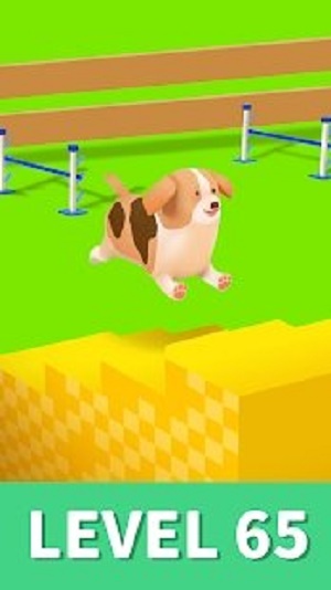 狗狗学院截图