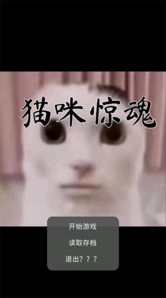 小猫惊魂