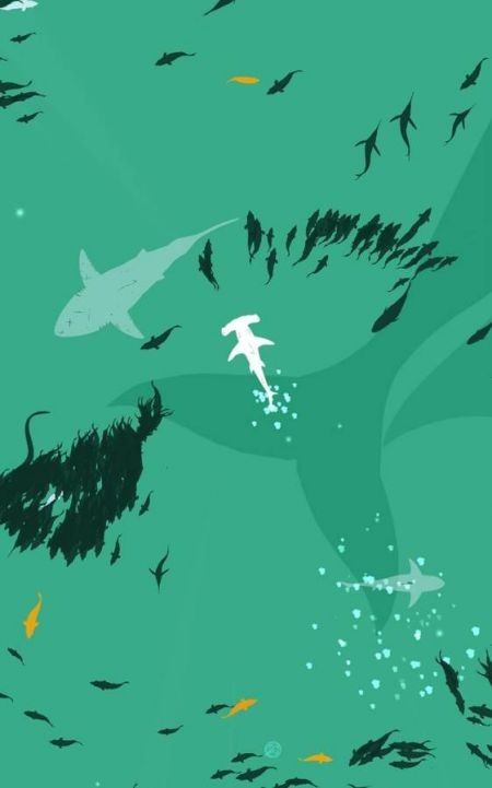 浅滩鱼群截图