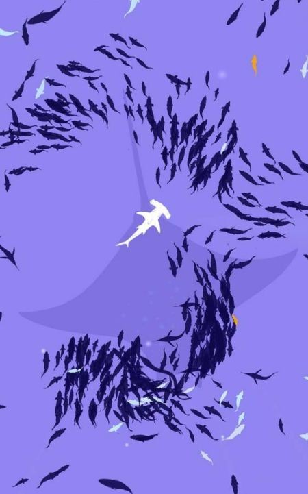 浅滩鱼群截图