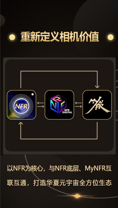 NFR相机截图